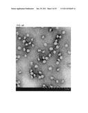 NOVEL POROUS METAL OXIDE, METHOD FOR PRODUCING THE SAME, AND USE OF THE     SAME diagram and image