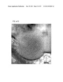 NOVEL POROUS METAL OXIDE, METHOD FOR PRODUCING THE SAME, AND USE OF THE     SAME diagram and image