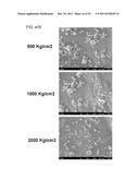 NOVEL POROUS METAL OXIDE, METHOD FOR PRODUCING THE SAME, AND USE OF THE     SAME diagram and image