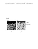 NOVEL POROUS METAL OXIDE, METHOD FOR PRODUCING THE SAME, AND USE OF THE     SAME diagram and image