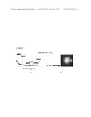 NOVEL POROUS METAL OXIDE, METHOD FOR PRODUCING THE SAME, AND USE OF THE     SAME diagram and image