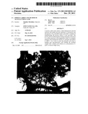 POROUS CARBON AND METHOD OF MANUFACTURING SAME diagram and image