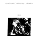 POROUS CARBON AND METHOD OF MANUFACTURING SAME diagram and image