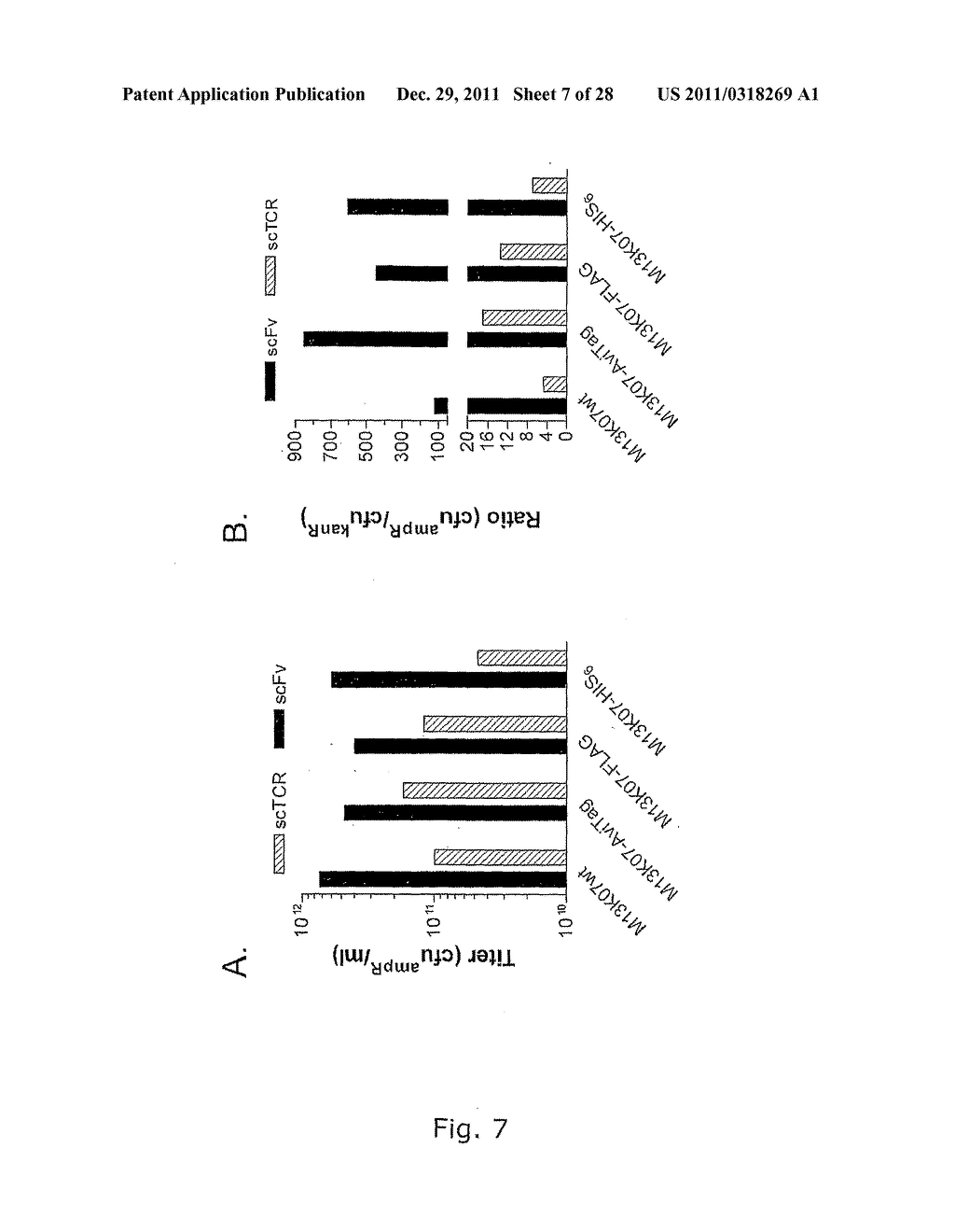 Method For Screening Phage Display Libraries Against Each Other - diagram, schematic, and image 08