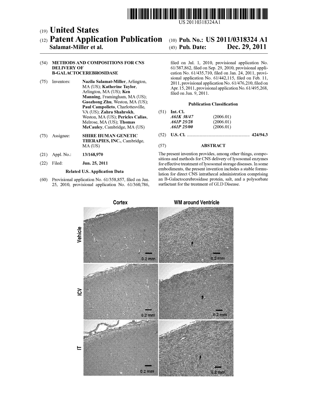 METHODS AND COMPOSITIONS FOR CNS DELIVERY OF B-GALACTOCEREBROSIDASE - diagram, schematic, and image 01