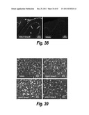 METHODS AND COMPOSITIONS FOR CNS DELIVERY OF B-GALACTOCEREBROSIDASE diagram and image