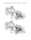 NASAL DELIVERY diagram and image