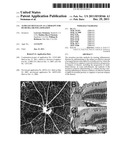 Alpha B-crystallin as a therapy for Ischemia or inflammation diagram and image