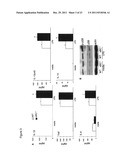 Alpha B-crystallin as a therapy for Ischemia or inflammation diagram and image