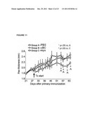 Alpha B-crystallin as a therapy for Ischemia or inflammation diagram and image