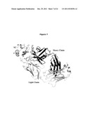 Antibodies Against Tissue Factor Pathway Inhibitor diagram and image