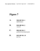 METHODS AND COMPOSITIONS BASED ON SHIGA TOXIN TYPE 2 PROTEIN diagram and image