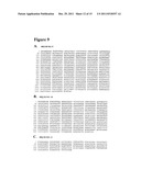 METHODS AND COMPOSITIONS BASED ON SHIGA TOXIN TYPE 2 PROTEIN diagram and image