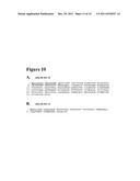 METHODS AND COMPOSITIONS BASED ON SHIGA TOXIN TYPE 2 PROTEIN diagram and image