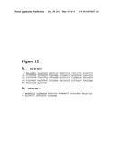 METHODS AND COMPOSITIONS BASED ON SHIGA TOXIN TYPE 2 PROTEIN diagram and image