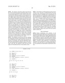 METHODS AND COMPOSITIONS BASED ON SHIGA TOXIN TYPE 2 PROTEIN diagram and image