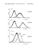 ANTIBODY HAVING A T-CELL RECEPTOR-LIKE SPECIFICITY, YET HIGHER AFFINITY,     AND THE USE OF SAME IN THE DETECTION AND TREATMENT OF CANCER, VIRAL     INFECTION AND AUTOIMMUNE DISEASE diagram and image