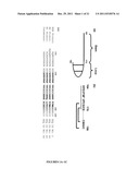 RECOMBINANT EXPRESSION OF SELF-FOLDING NEUTRALIZING EPITOPE-BEARING     SUBDOMAINS OF THE RESPIRATORY SYNCYTIAL VIRUS ATTACHMENT AND FUSION     PROTEINS diagram and image