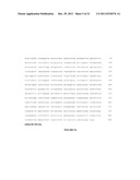 RECOMBINANT EXPRESSION OF SELF-FOLDING NEUTRALIZING EPITOPE-BEARING     SUBDOMAINS OF THE RESPIRATORY SYNCYTIAL VIRUS ATTACHMENT AND FUSION     PROTEINS diagram and image