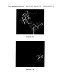 RECOMBINANT EXPRESSION OF SELF-FOLDING NEUTRALIZING EPITOPE-BEARING     SUBDOMAINS OF THE RESPIRATORY SYNCYTIAL VIRUS ATTACHMENT AND FUSION     PROTEINS diagram and image