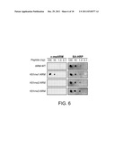 Methylated TAT Polypeptides and Methods of Use Thereof diagram and image