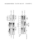 Methylated TAT Polypeptides and Methods of Use Thereof diagram and image