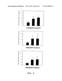 VECTOR FOR TREATMENT VACCINE FOR STABLE AND CONSTITUTIVE HIGH-EXPRESSION     CERVICAL CANCER AND RECOMBINANT LACTOBACILLUS TRANSFORMED BY THE SAME diagram and image