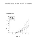 VECTOR FOR TREATMENT VACCINE FOR STABLE AND CONSTITUTIVE HIGH-EXPRESSION     CERVICAL CANCER AND RECOMBINANT LACTOBACILLUS TRANSFORMED BY THE SAME diagram and image