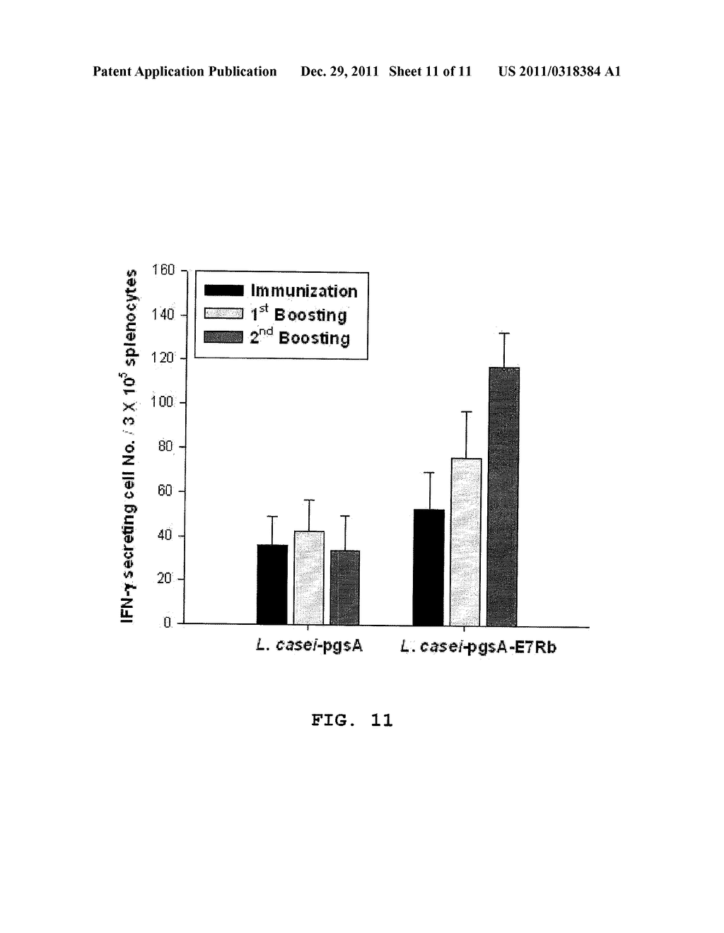 VECTOR FOR TREATMENT VACCINE FOR STABLE AND CONSTITUTIVE HIGH-EXPRESSION     CERVICAL CANCER AND RECOMBINANT LACTOBACILLUS TRANSFORMED BY THE SAME - diagram, schematic, and image 12