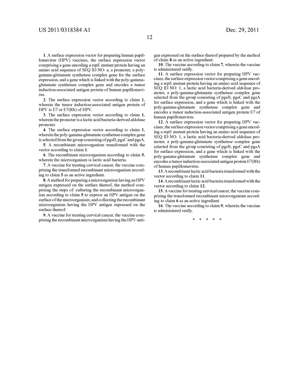 VECTOR FOR TREATMENT VACCINE FOR STABLE AND CONSTITUTIVE HIGH-EXPRESSION     CERVICAL CANCER AND RECOMBINANT LACTOBACILLUS TRANSFORMED BY THE SAME - diagram, schematic, and image 24