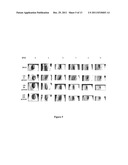 Preparation and Use of Pouteria Lucuma Extract diagram and image