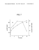 TARGETED ACTIVE AGENT DELIVERY SYSTEM BASED ON CALCIUM PHOSPHATE     NANOPARTICLES diagram and image