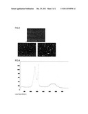 ELECTRICALLY CONDUCTIVE SUBSTANCE COATED ALUMINUM MATERIAL AND METHOD FOR     MANUFACTURING THE SAME diagram and image