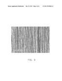 COMPOSITE CARBON NANOTUBE STRUCTURE diagram and image