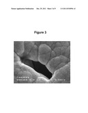 HIGH PEEL STRENGTH ARTICLE COMPRISING A THERMOPLASTIC-METAL     INTERPENETRATED VOLUME diagram and image
