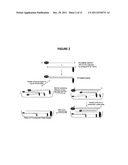 QUANTITATIVE HELICASE ASSAY diagram and image