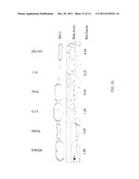 DETECTION OF CANCER BY ELEVATED LEVELS OF BCL-2 diagram and image