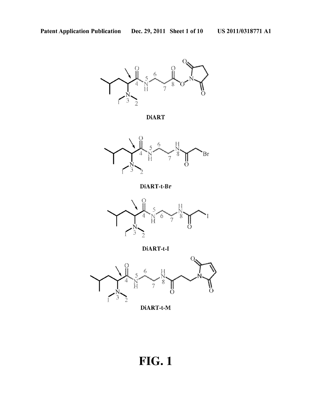 DEUTERIUM ISOBARIC TAG REAGENTS FOR QUANTITATIVE ANALYSIS - diagram, schematic, and image 02