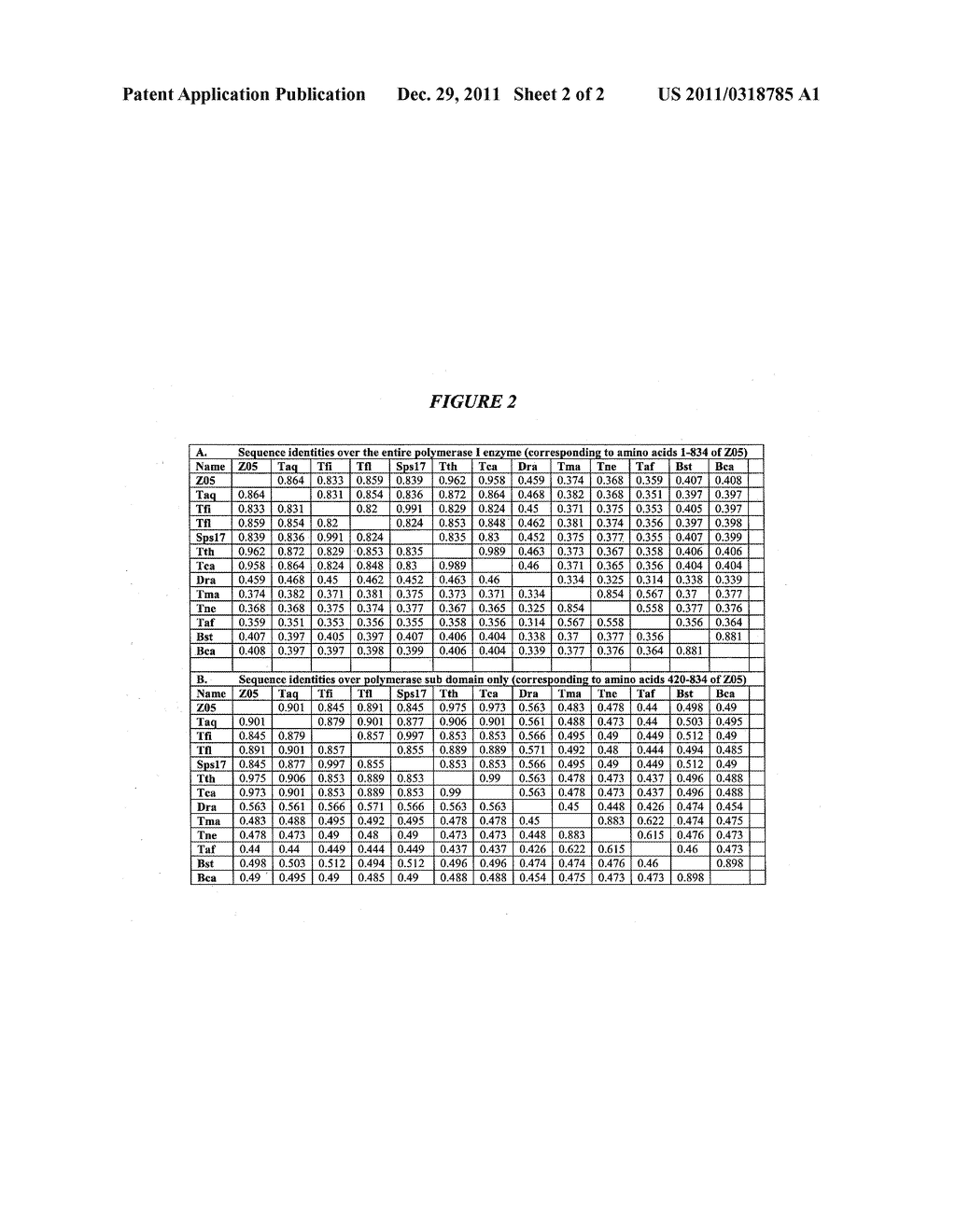 DNA POLYMERASES WITH INCREASED  3'-MISMATCH DISCRIMINATION - diagram, schematic, and image 03