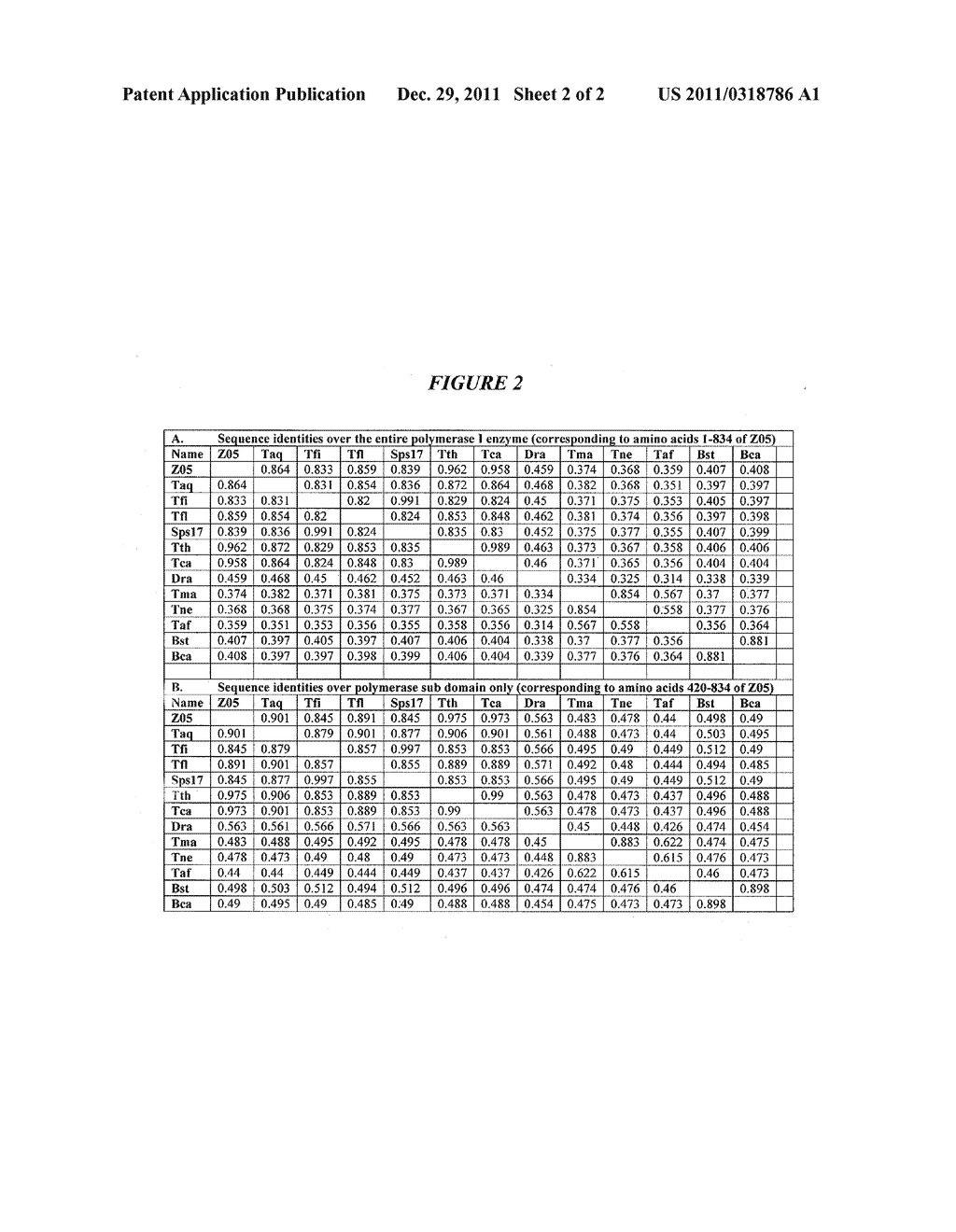 DNA POLYMERASES WITH INCREASED  3'-MISMATCH DISCRIMINATION - diagram, schematic, and image 03