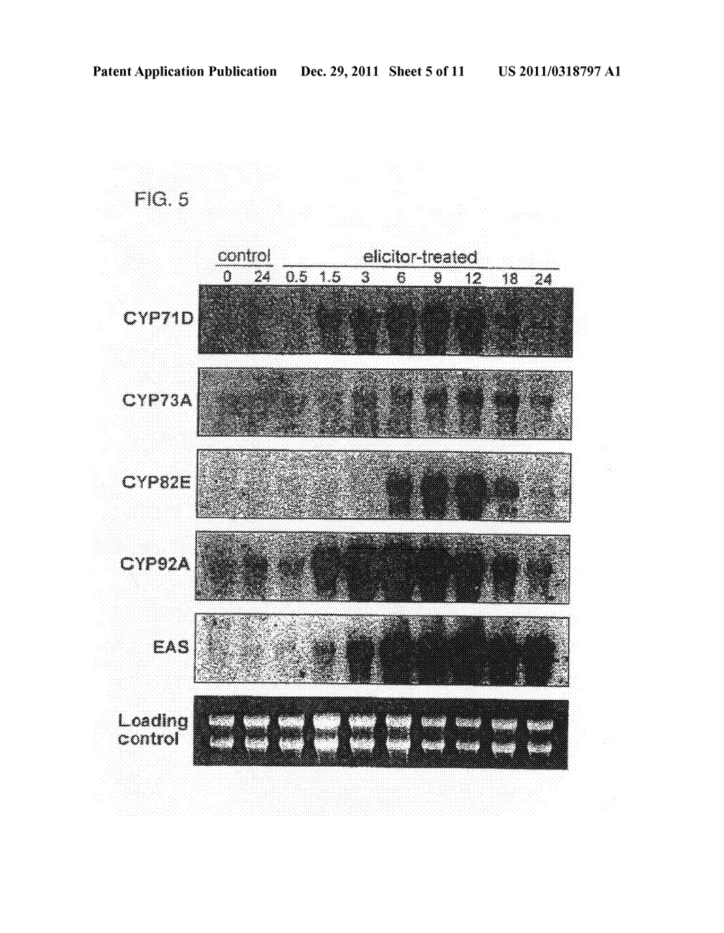 Cytochrome P450s and uses thereof - diagram, schematic, and image 06