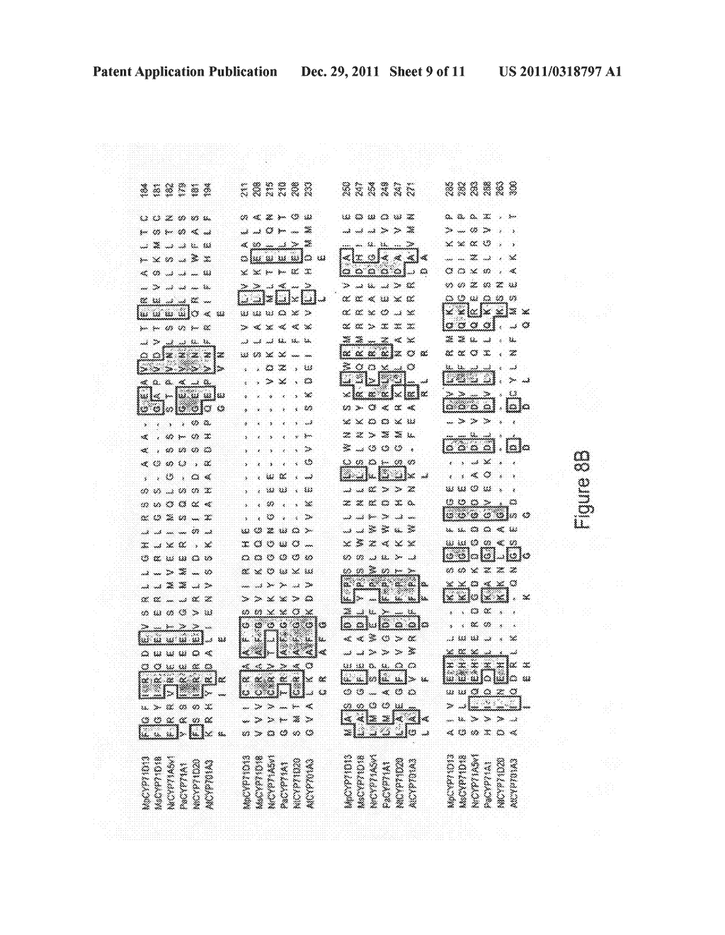 Cytochrome P450s and uses thereof - diagram, schematic, and image 10