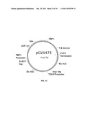 YEAST ORGANISM PRODUCING ISOBUTANOL AT A HIGH YIELD diagram and image