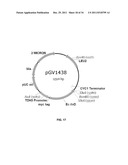 YEAST ORGANISM PRODUCING ISOBUTANOL AT A HIGH YIELD diagram and image