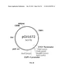 YEAST ORGANISM PRODUCING ISOBUTANOL AT A HIGH YIELD diagram and image