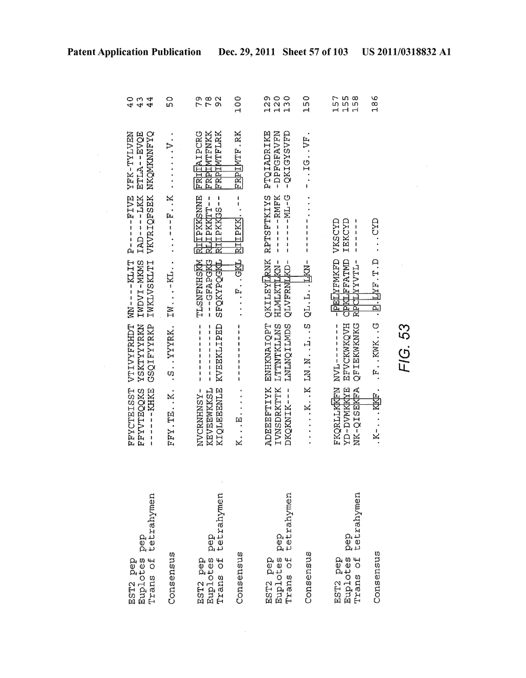 Human Telomerase Catalytic Subunit - diagram, schematic, and image 58