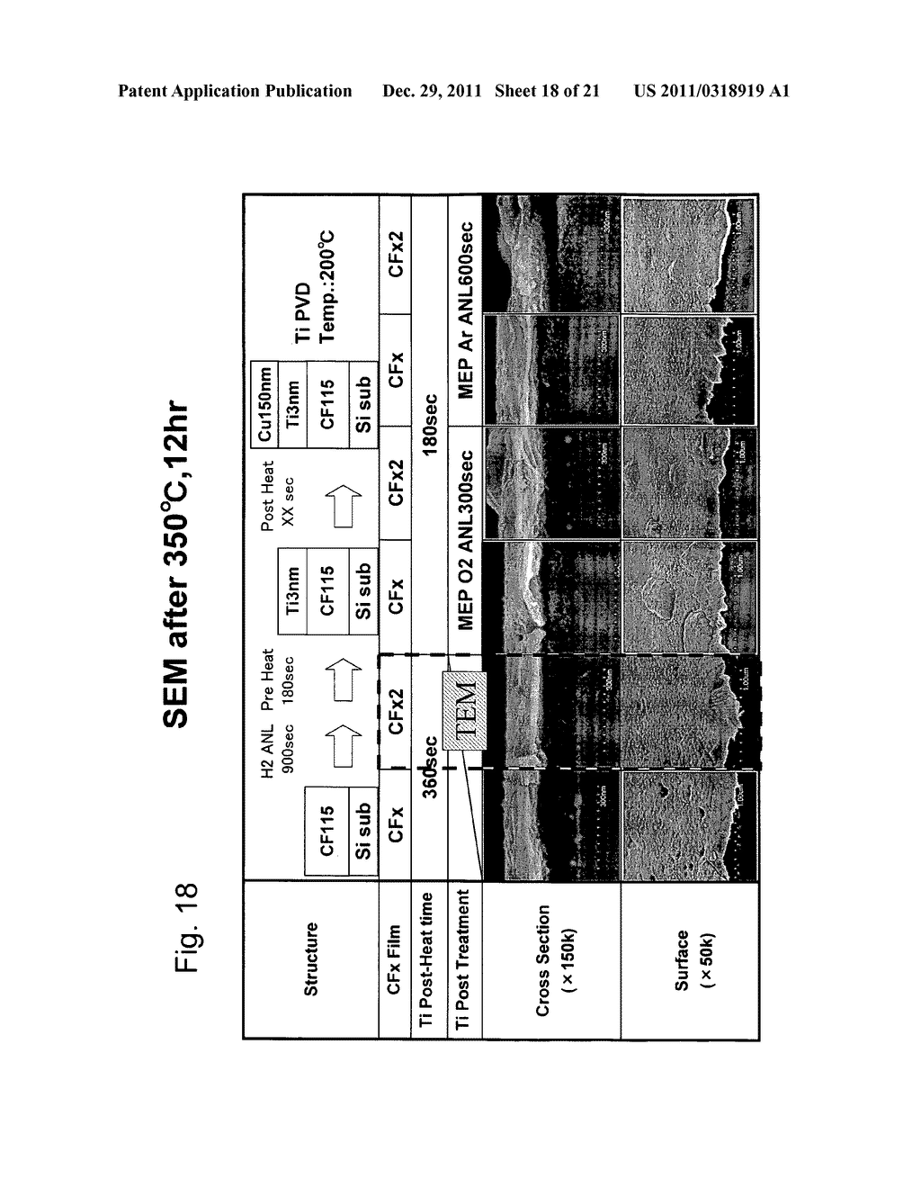 SURFACE TREATMENT FOR A FLUOROCARBON FILM - diagram, schematic, and image 19