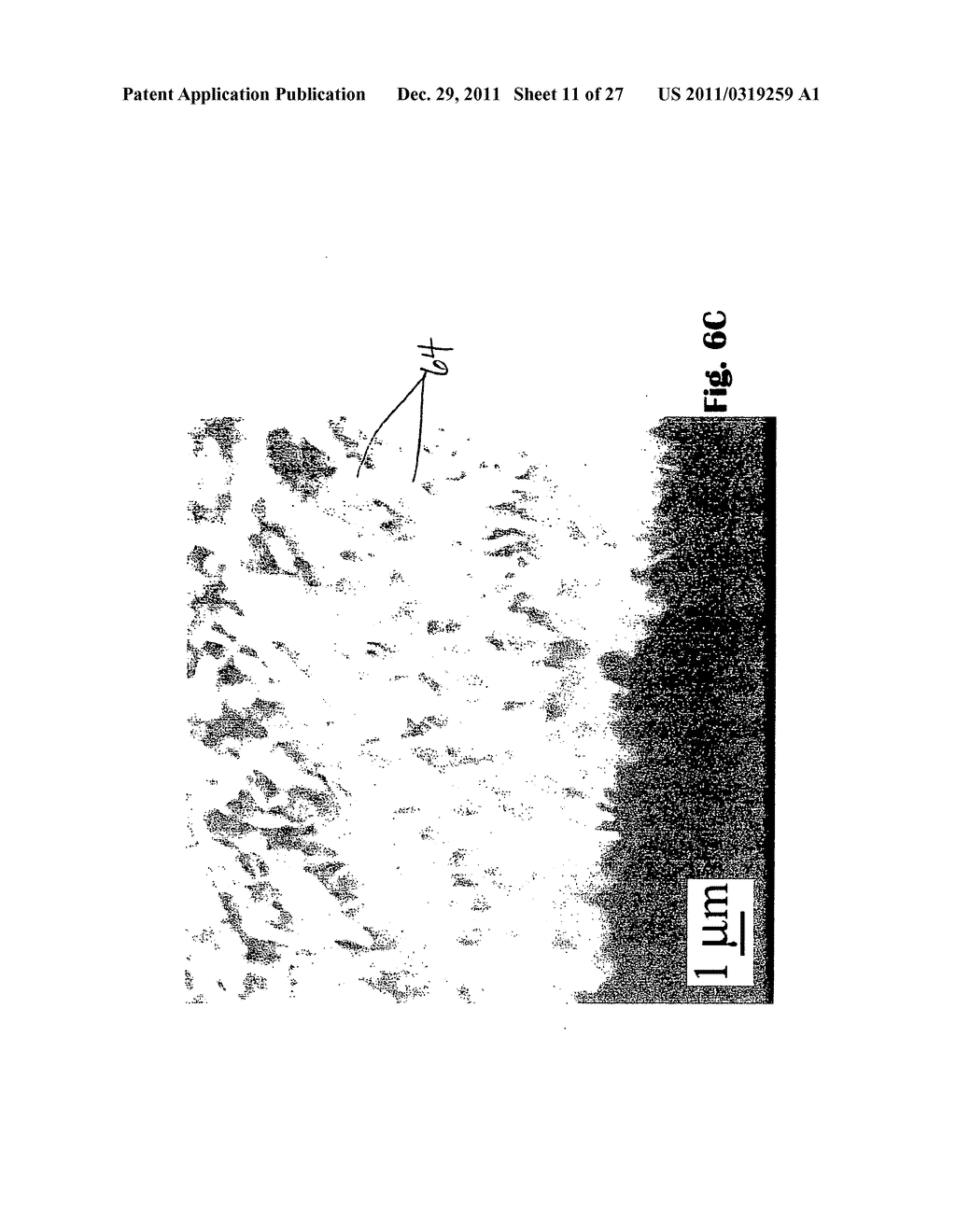 Advanced catalyst system prepared from a whiskered aluminum-containing     metallic alloy substrate - diagram, schematic, and image 12