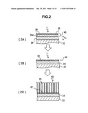 Catalyst Body for Production of Brush-shaped Carbon Nanostructure diagram and image