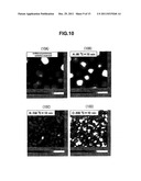 Catalyst Body for Production of Brush-shaped Carbon Nanostructure diagram and image